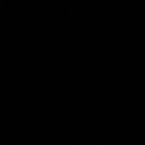 Meet your Posher, Shane